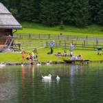 Besucher am Jägersee und Schwäne